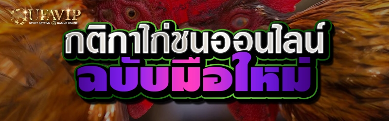 กติกาไก่ชนออนไลน์ฉบับมือใหม่