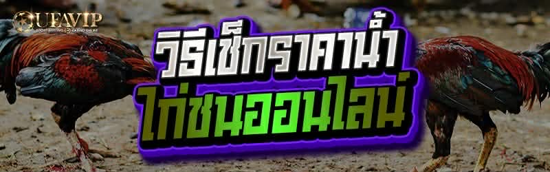 วิธีเช็กราคาน้ำ ไก่ชนออนไลน์