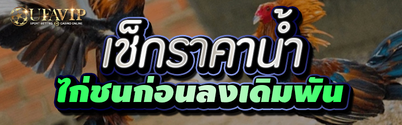 เช็กราคาน้ำ ไก่ชนก่อนลงเดิมพัน