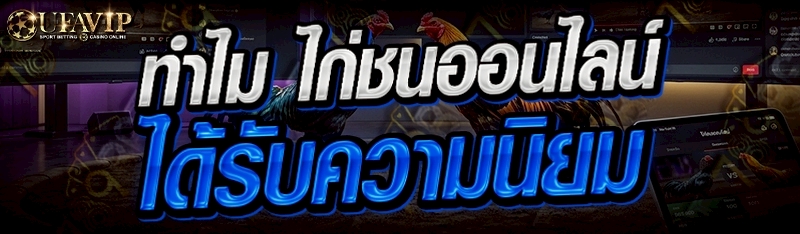 ทำไม ไก่ชนออนไลน์ ได้รับความนิยม