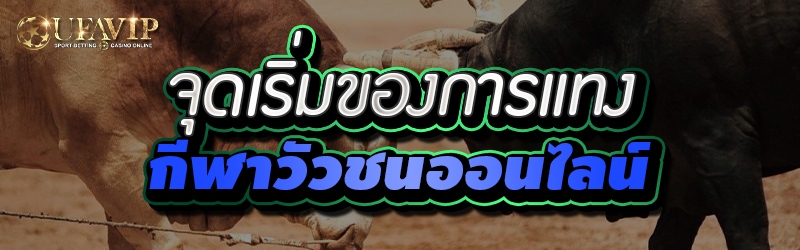 จุดเริ่มของการแทงกีฬาวัวชนออนไลน์